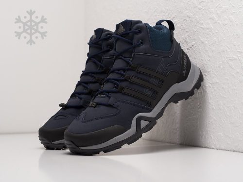 Зимние Ботинки Adidas Terrex Swift R2