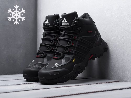 Зимние Ботинки Adidas Terrex Winter