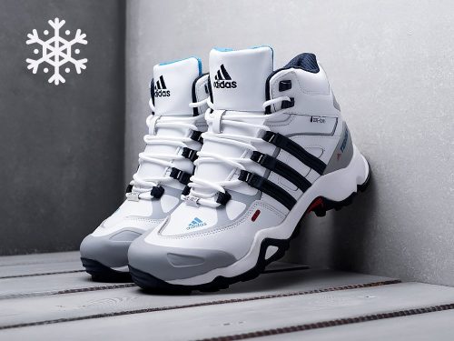 Зимние Ботинки Adidas Terrex Winter