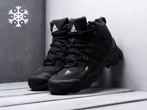 Зимние Ботинки Adidas Terrex Winter