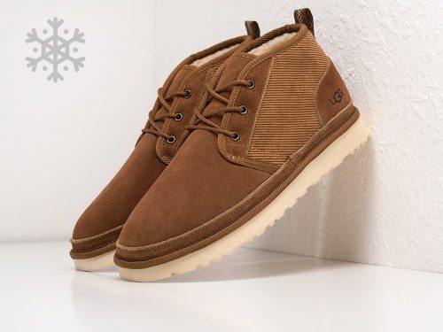 Зимние Ботинки UGG