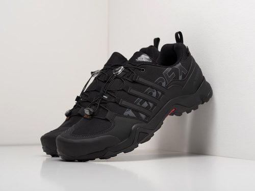 Зимние Кроссовки Adidas Terrex Swift R2 GTX