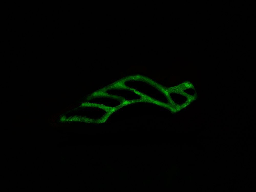 Кроссовки Adidas Yeezy Boost 700 v3 — изображение 7
