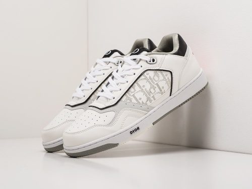 Кроссовки Dior B27 Low
