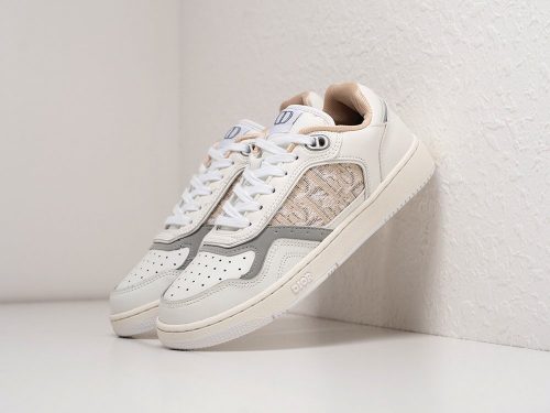 Кроссовки Dior B27 Low