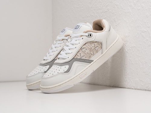 Кроссовки Dior B27 Low