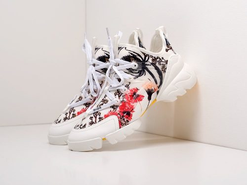 Кроссовки Dior D-Connect