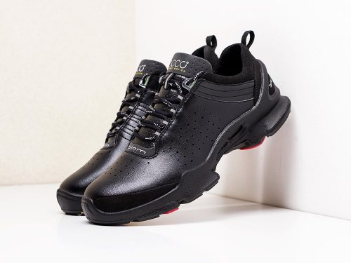 Кроссовки Ecco Biom