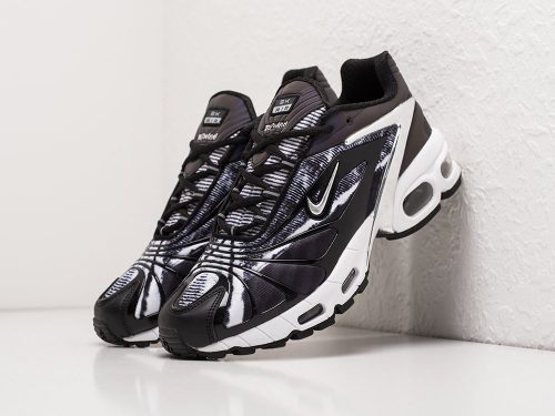Кроссовки Nike Air Max Tailwind V