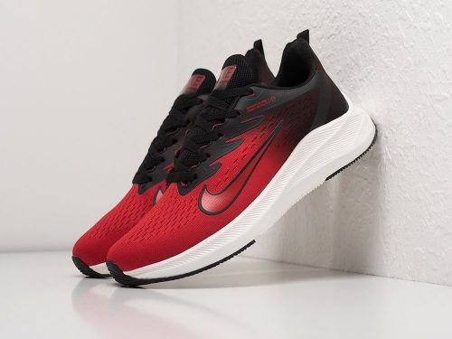 Кроссовки Nike Air Pegasus +30