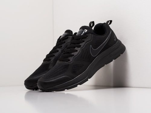 Кроссовки Nike Air Pegasus +30
