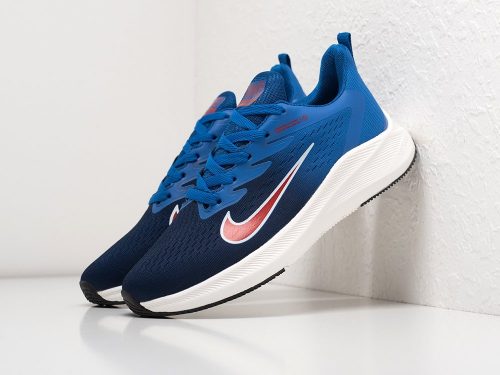Кроссовки Nike Air Pegasus +30