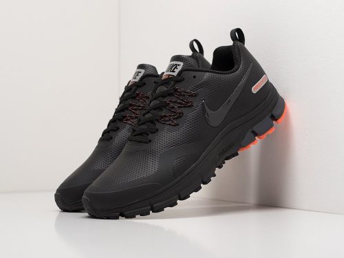 Кроссовки Nike Air Pegasus +30