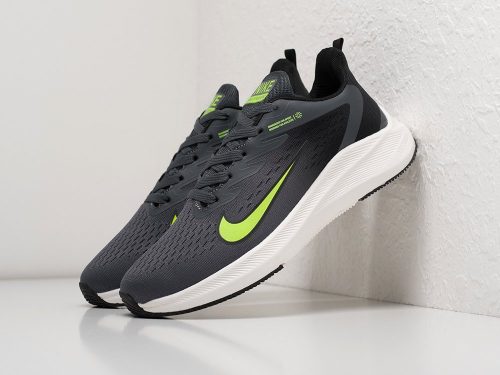 Кроссовки Nike Air Pegasus +30