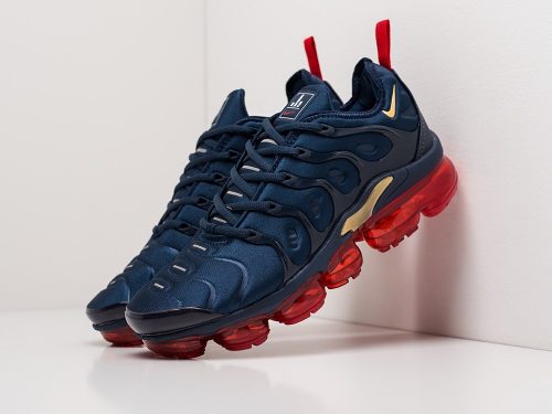 Кроссовки Nike Air VaporMax Plus