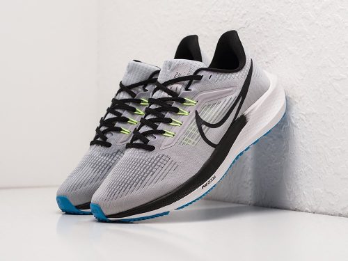 Кроссовки Nike Air Zoom Pegasus 39