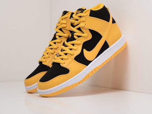 Кроссовки Nike Dunk SB