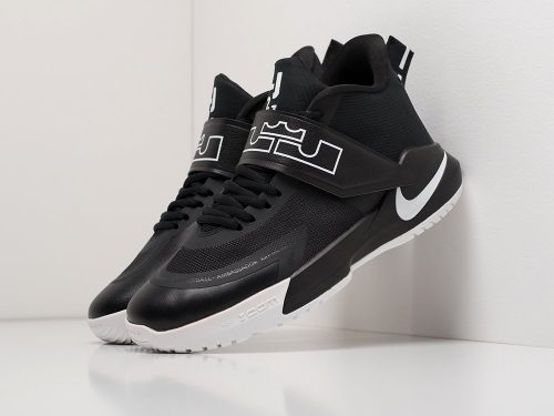 Кроссовки Nike LeBron Ambassador 12