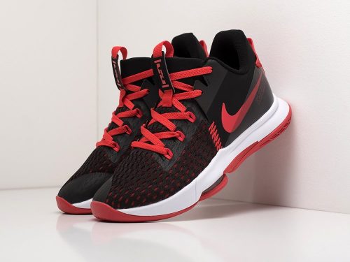 Кроссовки Nike Lebron Witness V