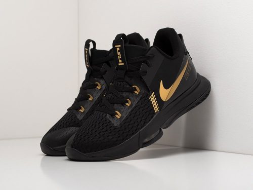 Кроссовки Nike Lebron Witness V