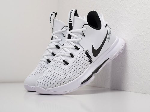 Кроссовки Nike Lebron Witness V