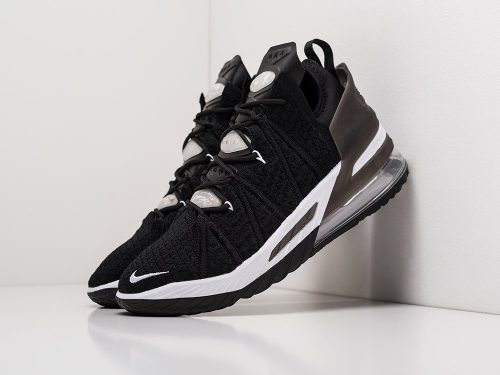 Кроссовки Nike Lebron XVIII