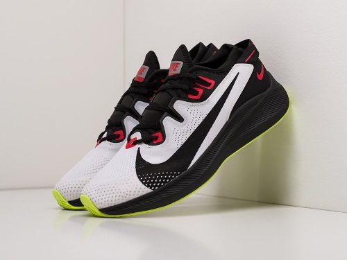 Кроссовки Nike Pegasus Trail 2