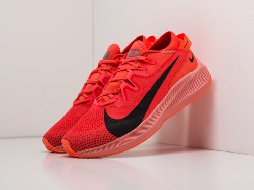 Кроссовки Nike Pegasus Trail 2