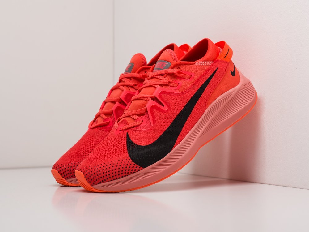 Кроссовки Nike Pegasus Trail 2