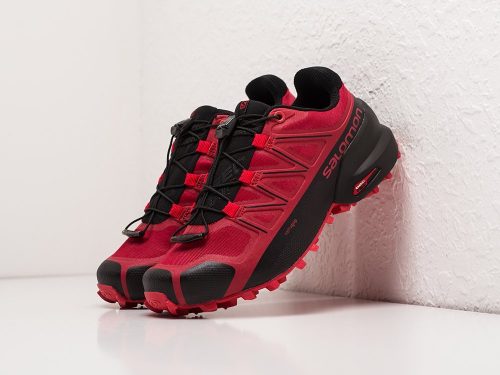 Кроссовки Salomon SPEEDCROSS 5 GTX